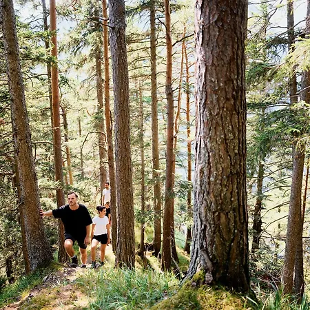 Tauroa Krenn Hotel Purgg